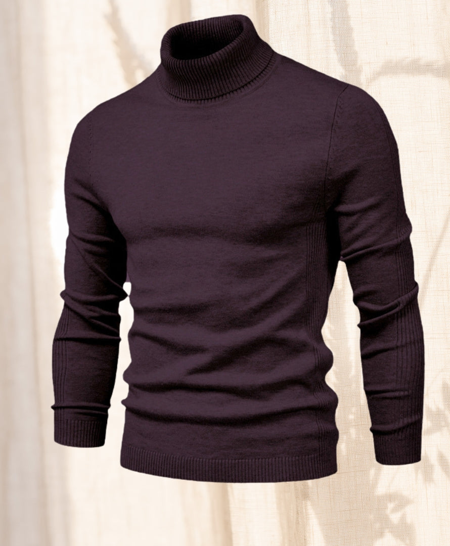 Hudson Chill | Turtle neck Sweater