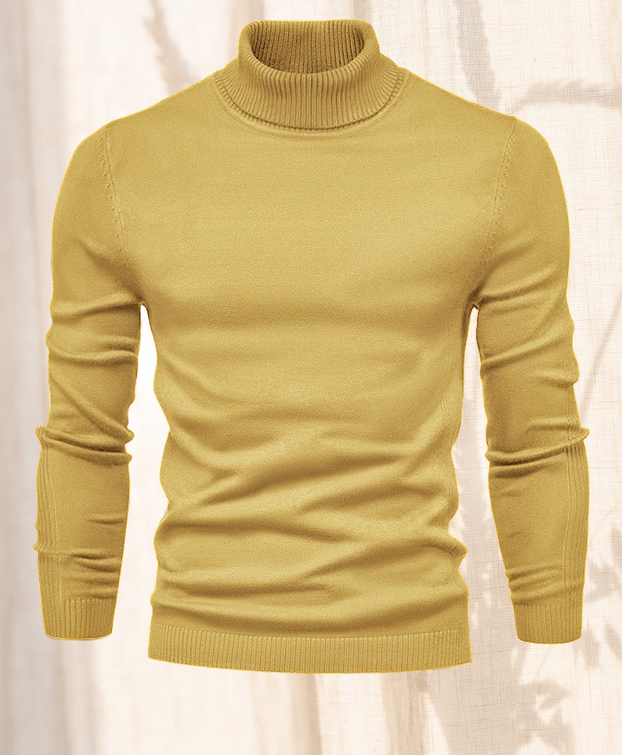 Hudson Chill |  Turtle neck Sweater